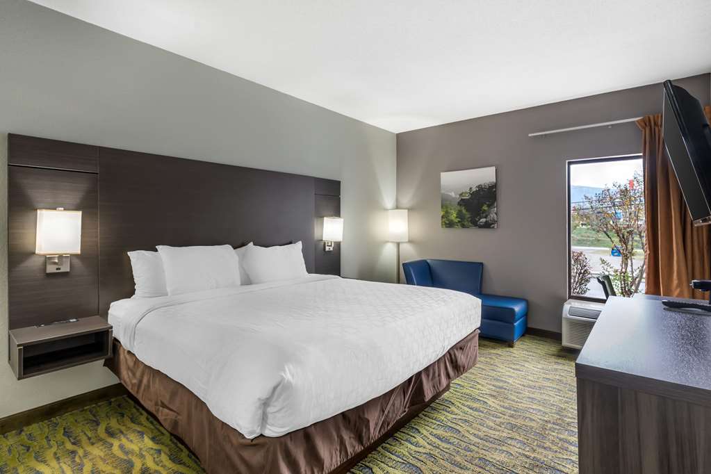 Clarion Inn near Lookout Mountain - photo 12