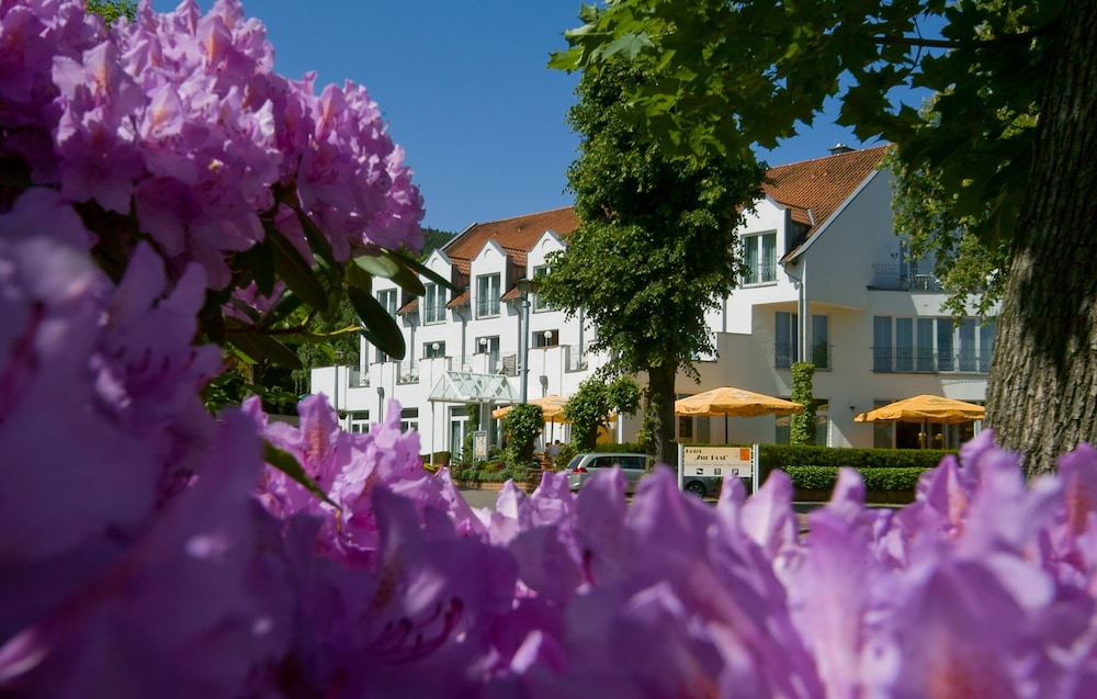 Akzent Hotel Zur Post — hotel in Tabarz