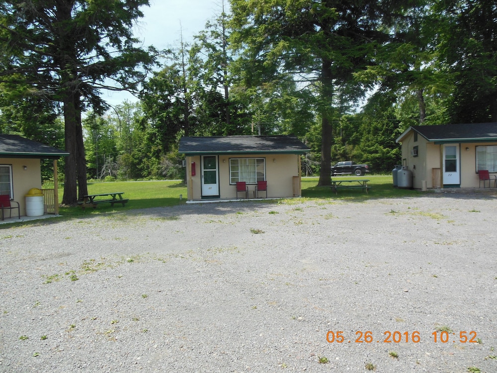 The Evergreen Motel - photo 74