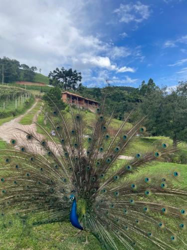 Pousada Do Caneca in Unknown City, Brasil