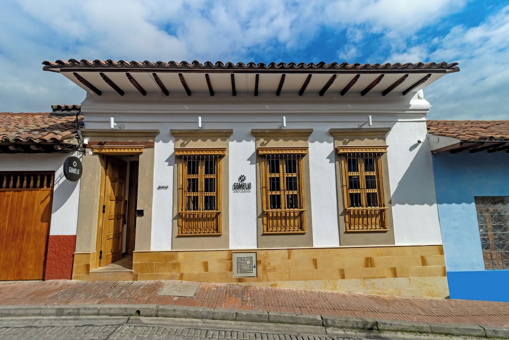 Camelia by Masaya Collection in Bogota, Colombia