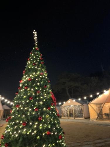 Damyang Raon Glamping in Damyang, South Korea