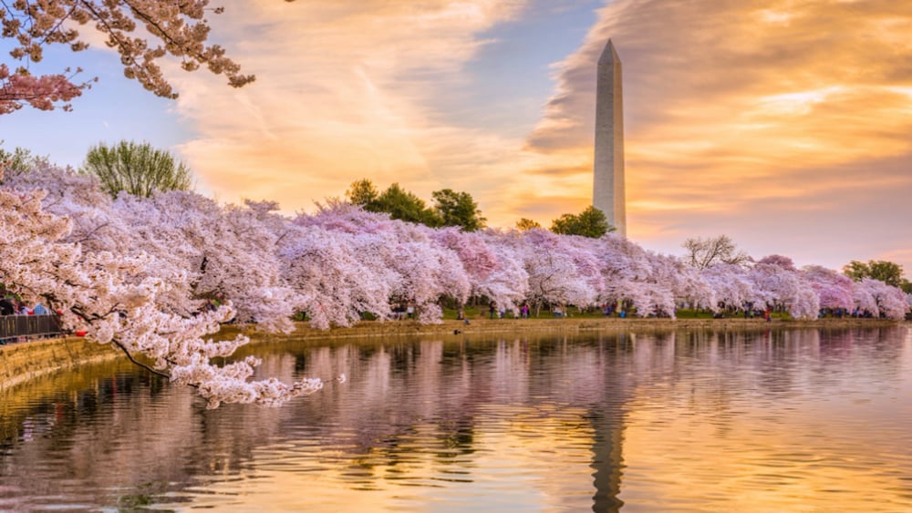 Willard InterContinental Washington by IHG - photo 288