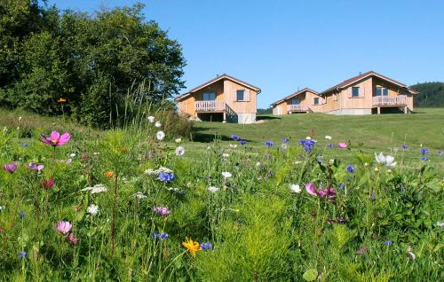 Chalets de Trémontagne 3 étoiles — hotel in Perrigny