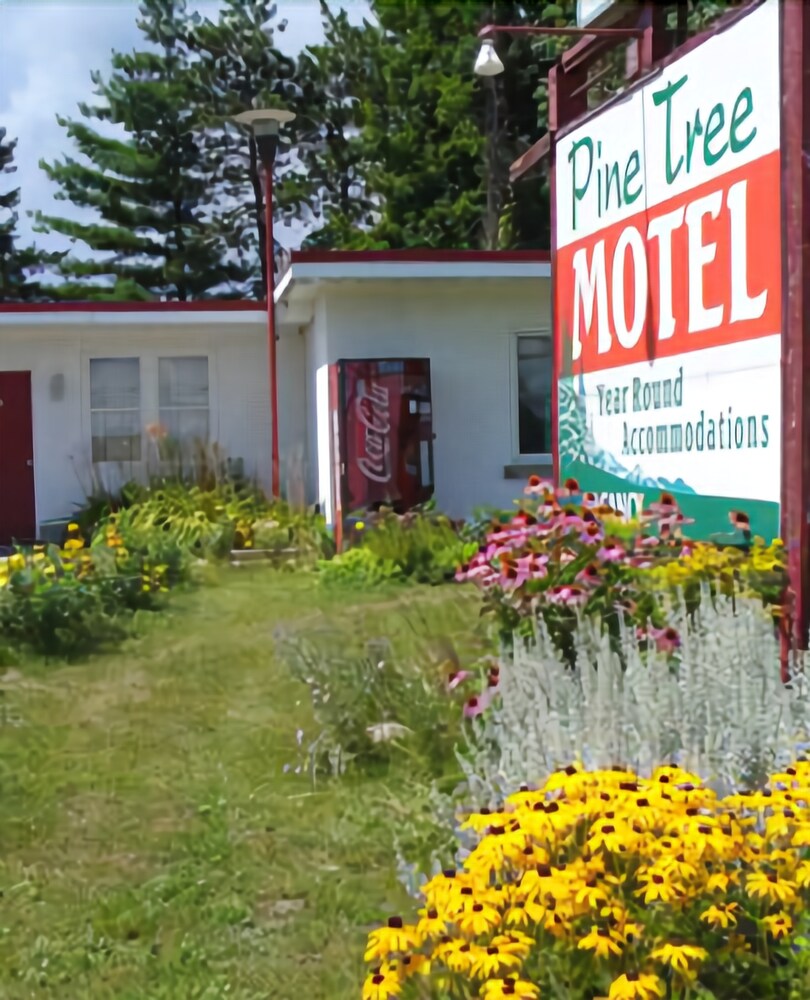 Pine Tree Motel in Pembroke, Canada
