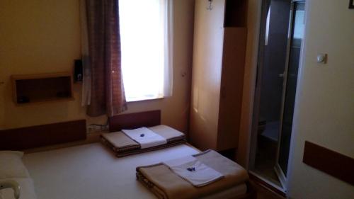 Garden Studio for Two - carbon neutral hotel in Stirling