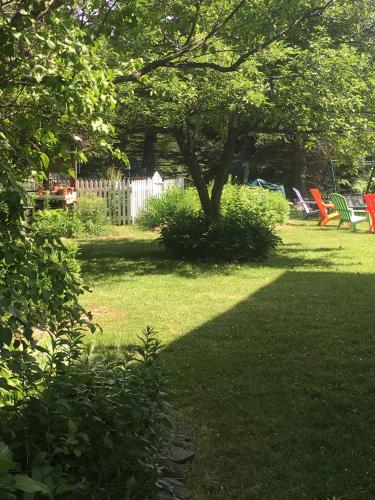 Wind in the Willows Overnight - photo 48