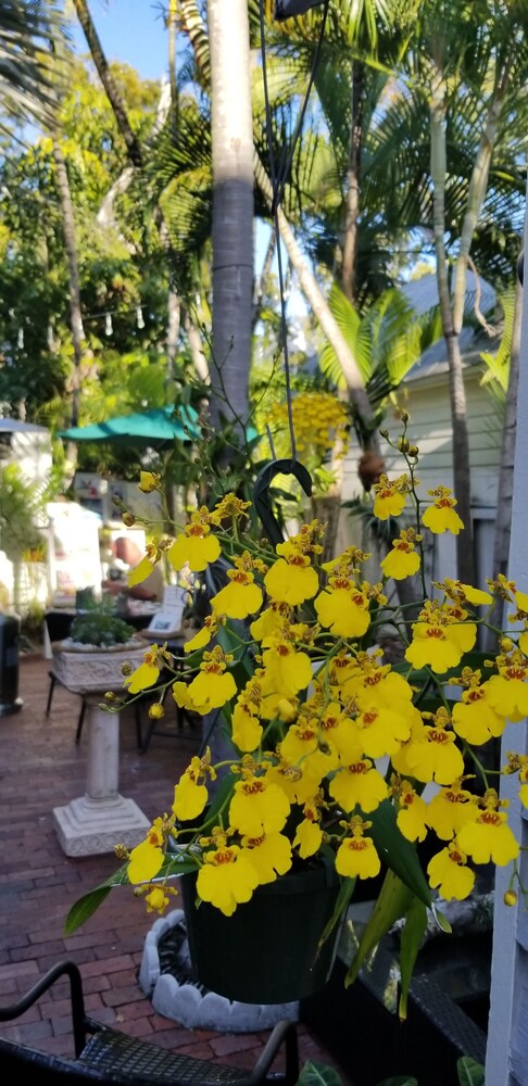 Artist House Key West - photo 45