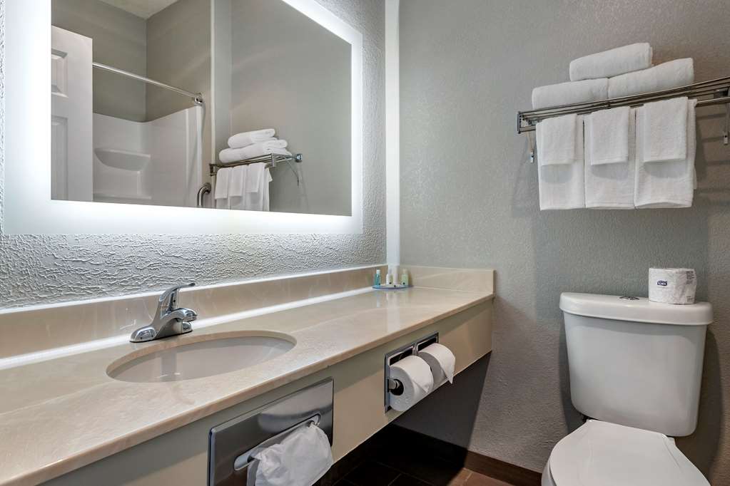 Quality Inn Kirksville - photo 12