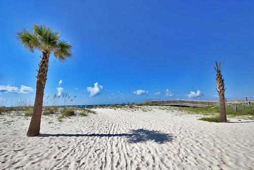 Ocean Reef 304 - photo 51