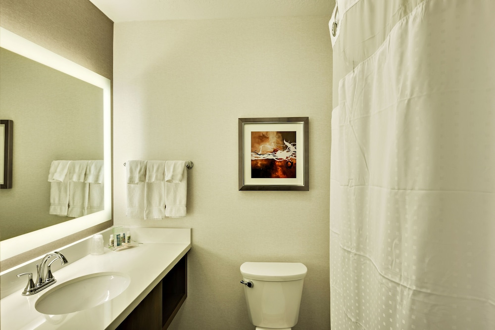 Holiday Inn St. George Conv Ctr by IHG - photo 9