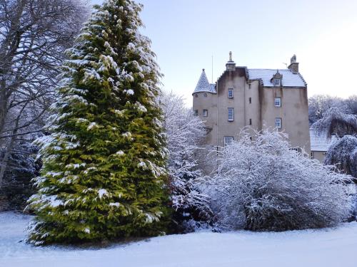 Lickleyhead Castle — Insch — photo 4