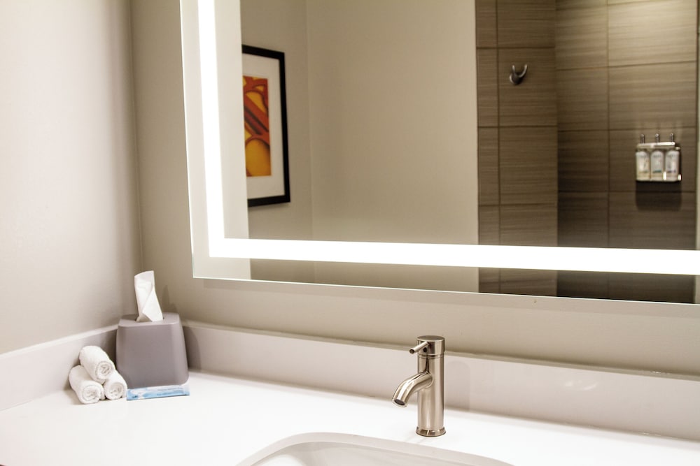 Holiday Inn Express and Suites Overland Park by IHG - photo 13