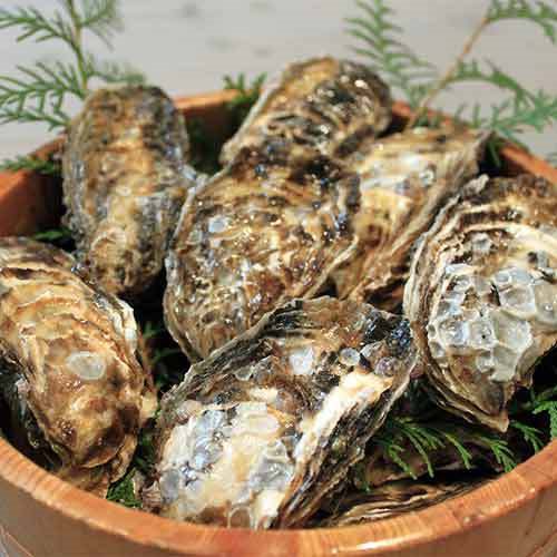 Noichi in Toba, Japan