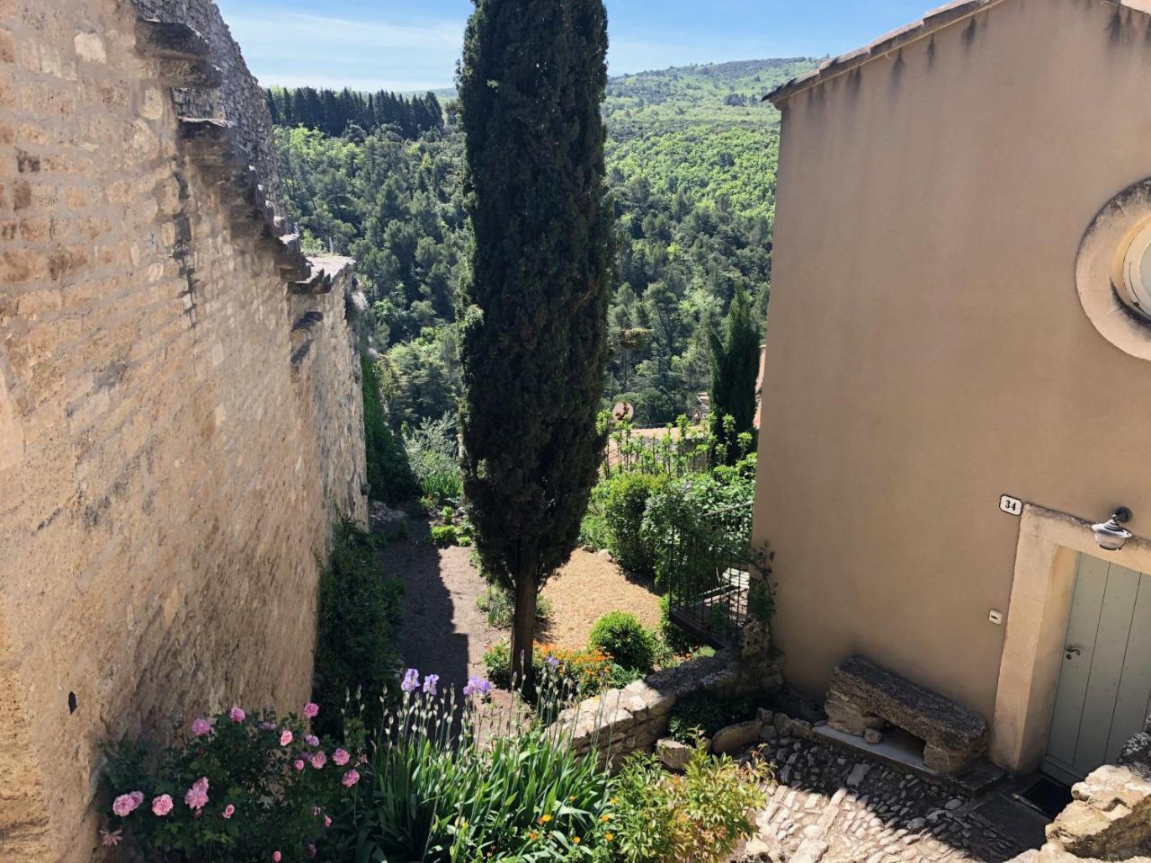 Campanina — Bonnieux — photo 2