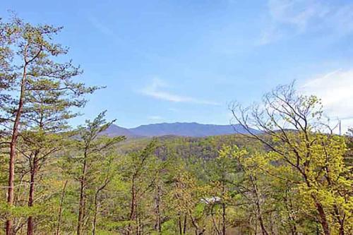 Heavenly Summit by Venture Smoky Mountains