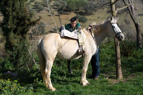 Cortijo El Berrocal — Cazalla De La Sierra — photo 3