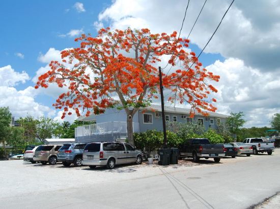 Bonita Beach Resort Motel in Bonita Springs, United States