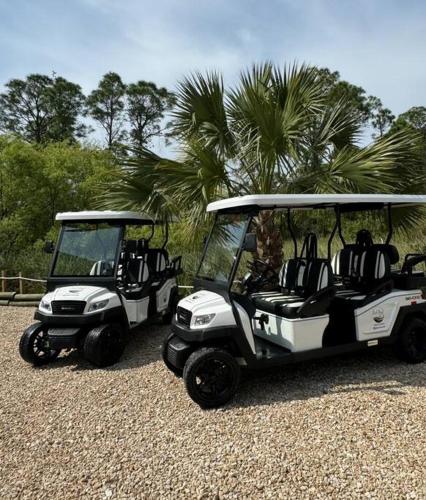 Beach Please Complimentary 6 Seater Golf Carts — hotel in Eastpoint