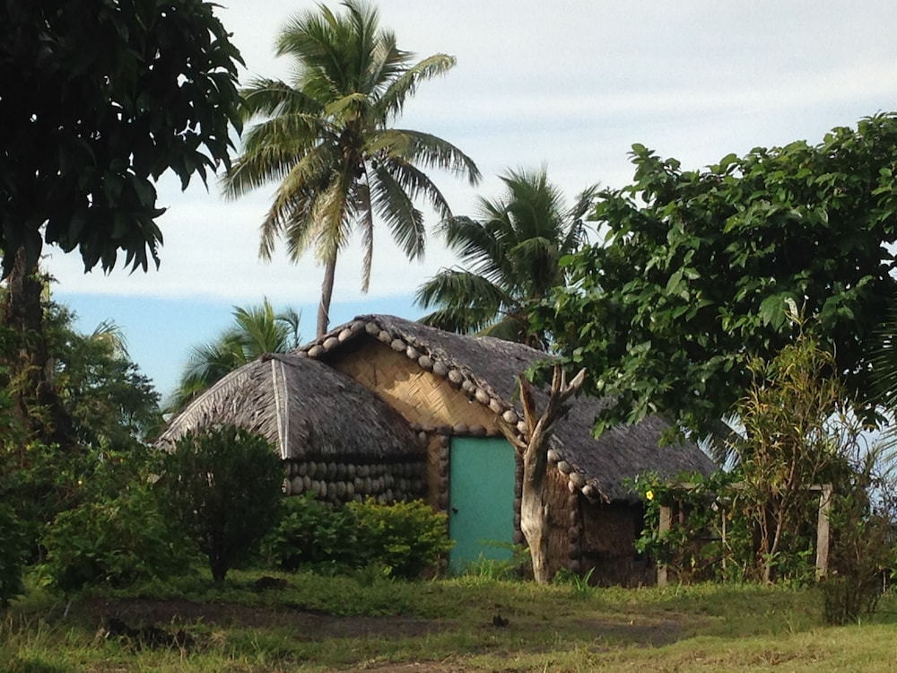 Tanna Lava View Bungalows — Unknown City