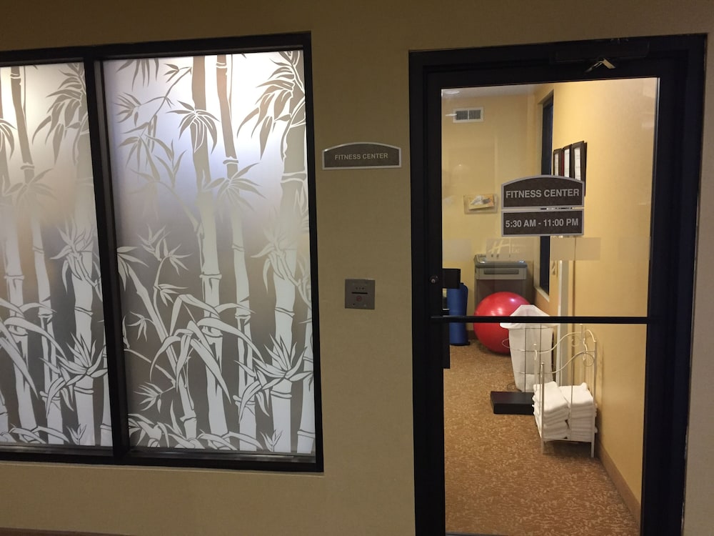 Holiday Inn Express & Suites St. Louis West Fenton by IHG - photo 48