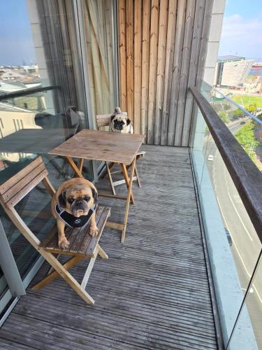 Benji & Milos Apartments — 4-Star Luxury Hotel in Belfast, United Kingdom