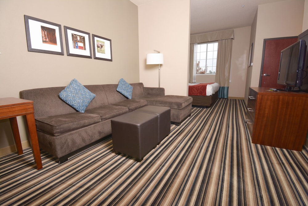 Comfort Suites Waco North Near University Area - photo 5