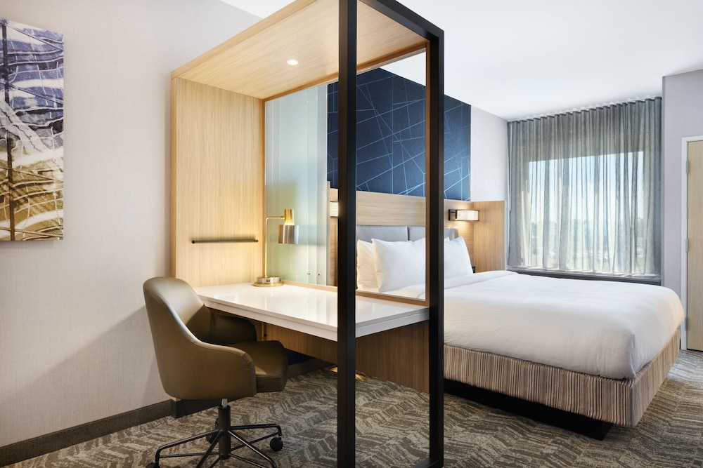 SpringHill Suites by Marriott Dothan - photo 6