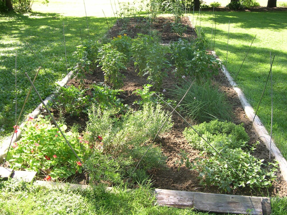 Cabernet Inn - photo 16