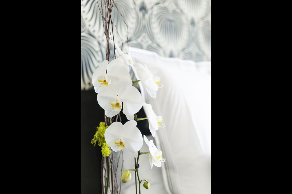 The Mayfair - photo 27
