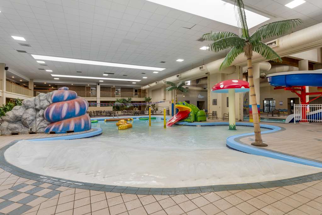 Best Western Plus Ramkota Hotel - photo 50