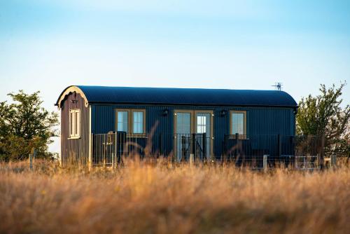 Head For The Hills Glamping Shepherd's Hut — hotel in Llanfynydd
