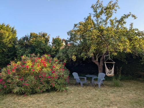 Studio Volta Garden Proche du Tram - last minute hotel in Tours