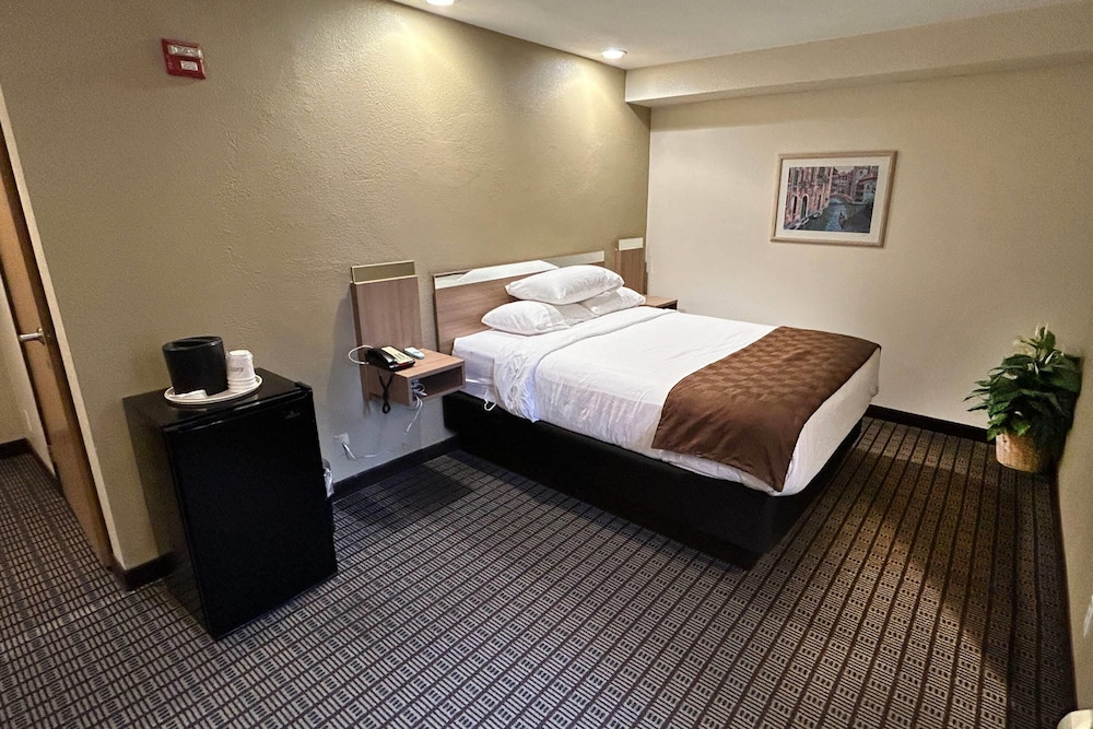 Travelodge by Wyndham Arlington Dallas Area - photo 12