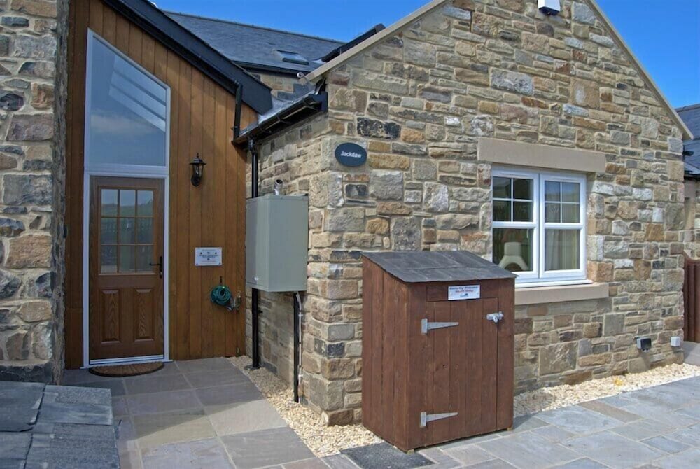 Jackdaw in Bamburgh, United Kingdom