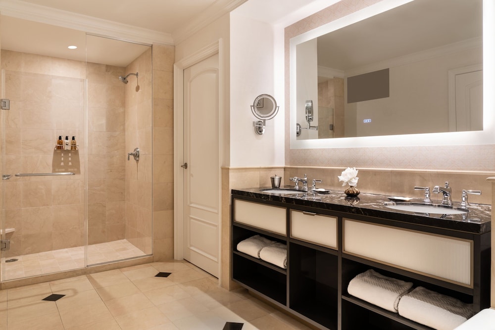 The Ritz Carlton Dallas - photo 23