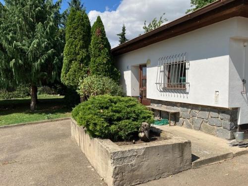 Ubytování ve vinici in Hustopece, Czech Republic