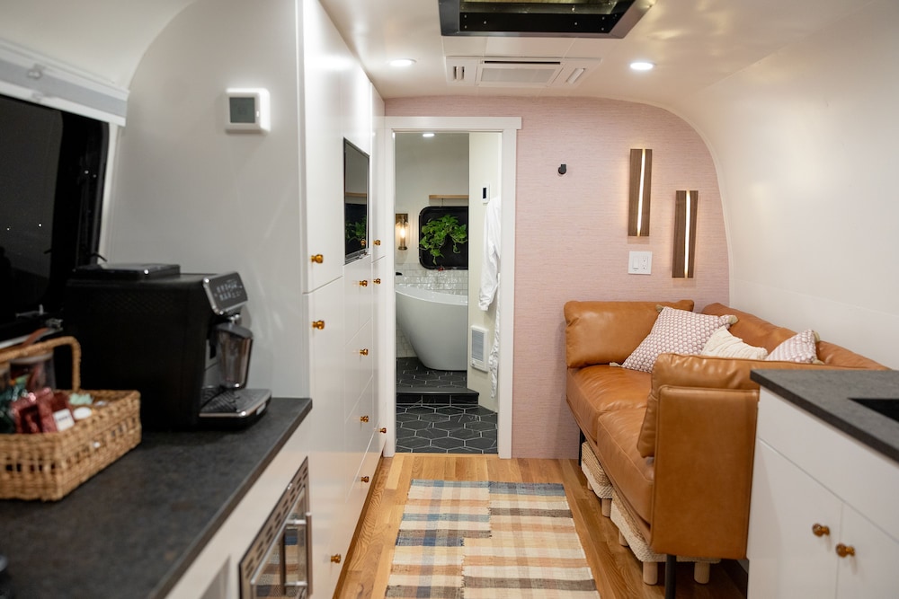 Creekside Fern in Pisgah Forest in Brevard, United States