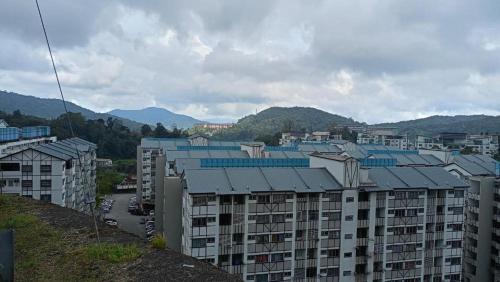 Golden Bright Future Trading — Tanah Rata — photo 5