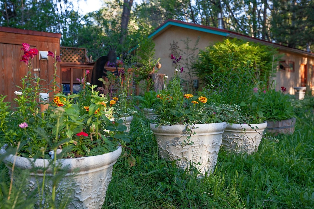 Dreamcatcher Bed and Breakfast - photo 120