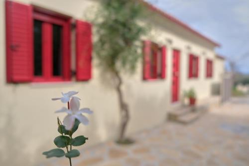 Yasemia Wood & Stone Villa — 4-Star Luxury Hotel in Drosia, Greece