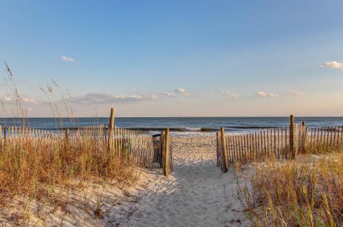 Palm Tree Paradise — Myrtle Beach — photo 3