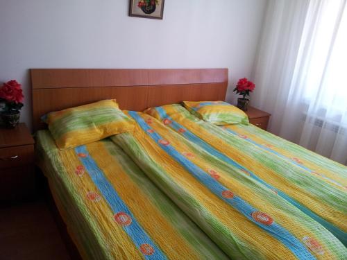 Trei Brazi Bioterra — Predeal — photo 3
