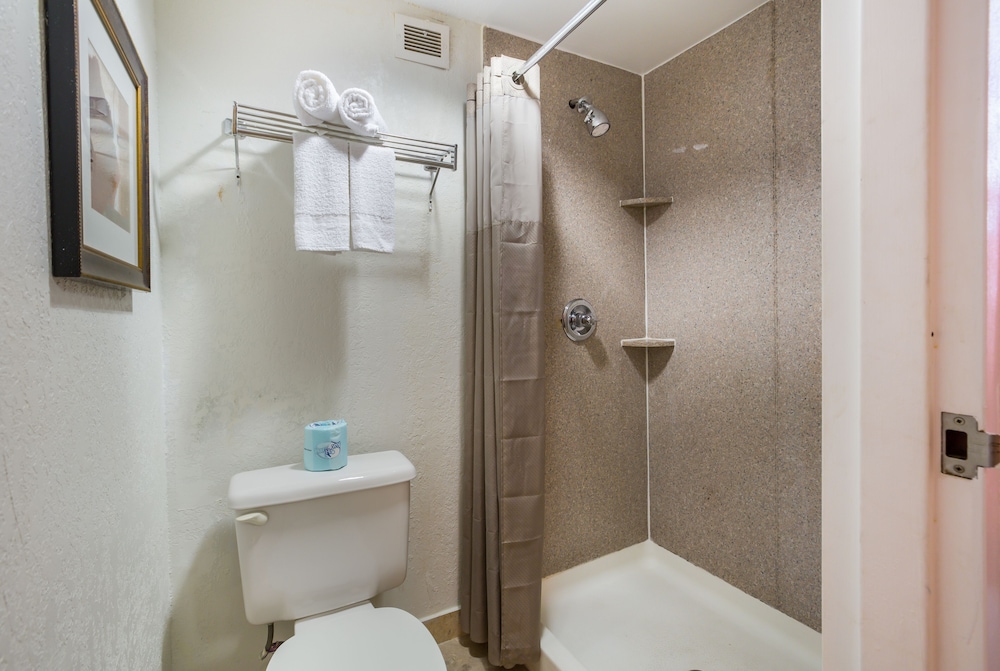 Budgetel Inns & Suites Atlanta Galleria Stadium - photo 13