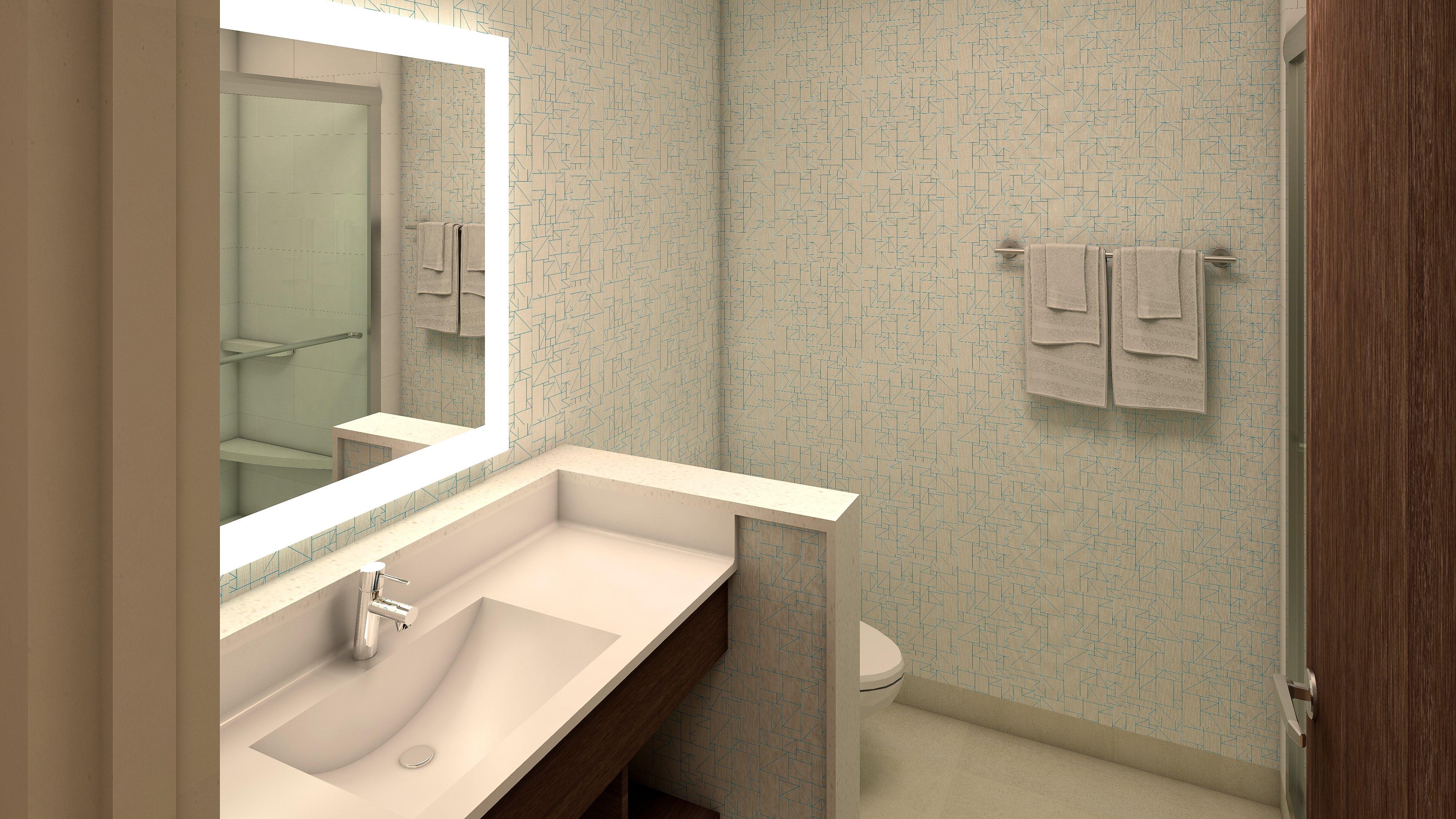 Holiday Inn Express & Suites Denver Aurora Medical Campus - photo 32