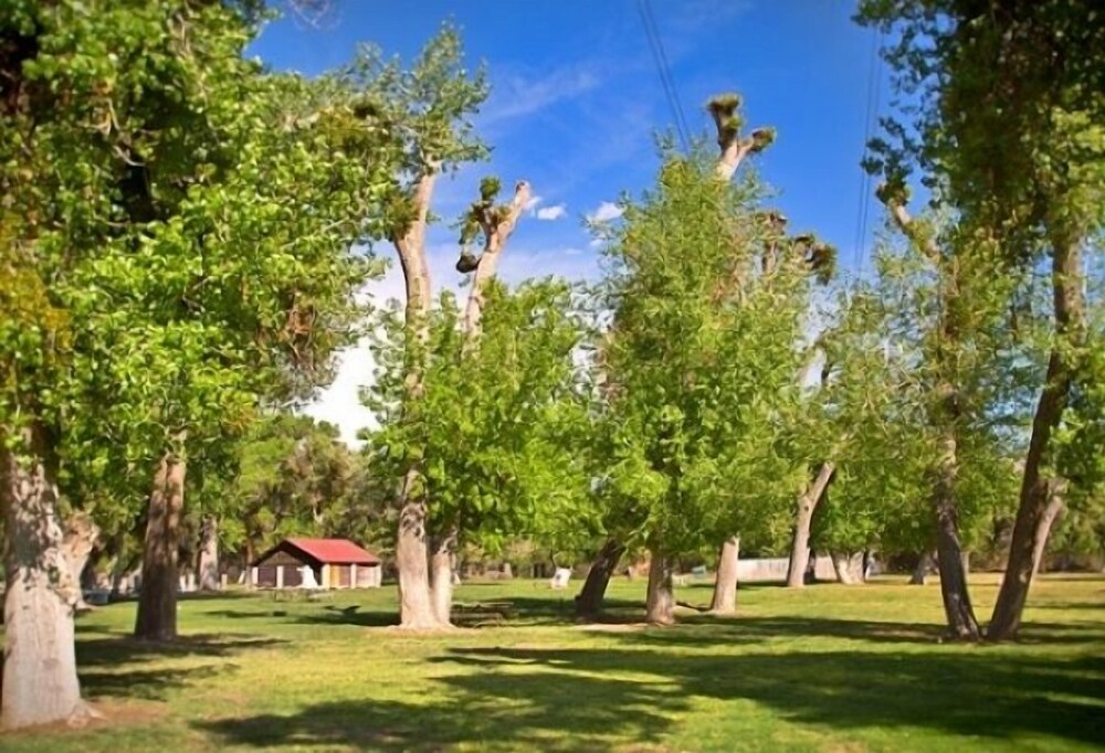 Soledad Canyon RV & Camping Resort - photo 13