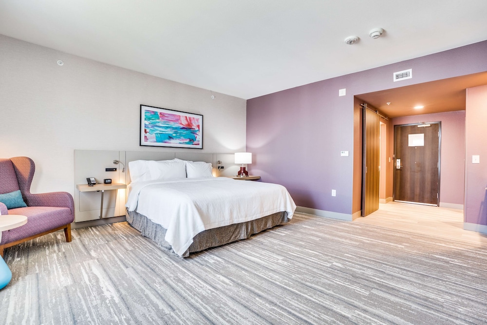 Hilton Garden Inn North Dallas Central Expy - photo 11