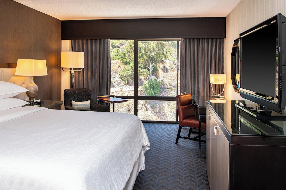 Sheraton Mission Valley San Diego Hotel - photo 35