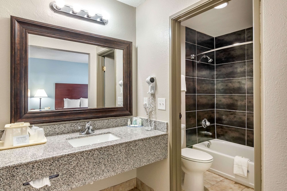 Quality Suites Kansas City International Airport - photo 19