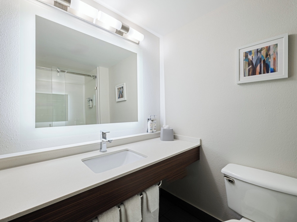 Holiday Inn Express & Suites Augusta West Fort Gordon by IHG - photo 70